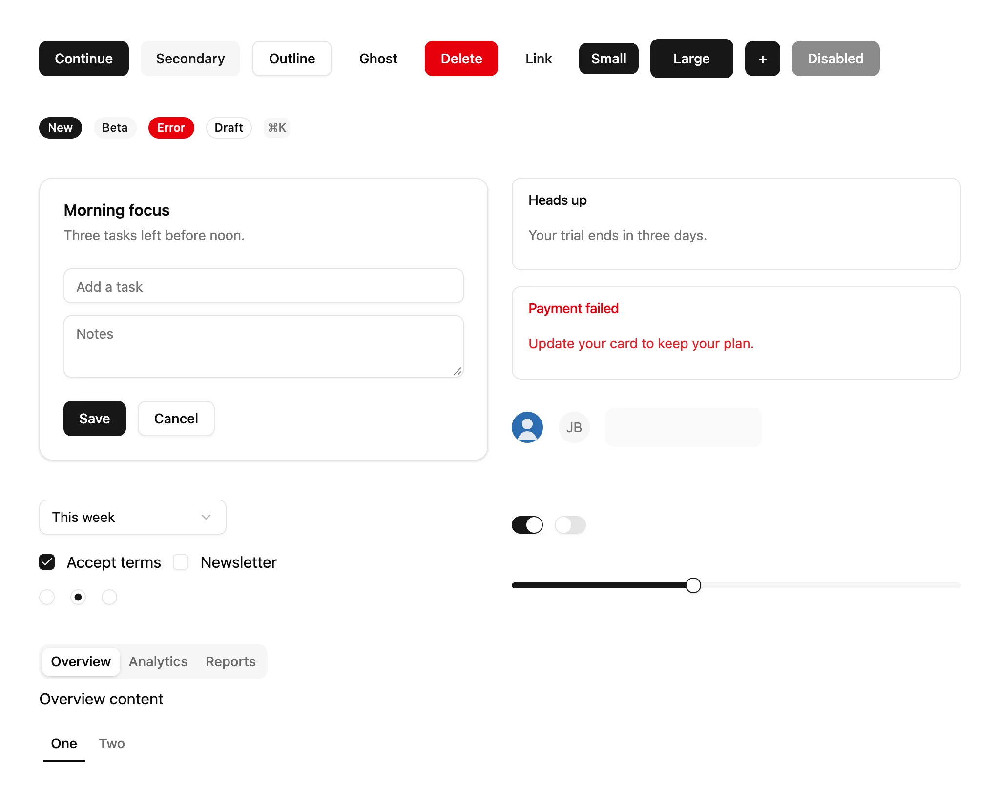 Stock shadcn/ui buttons, badges, a card, alerts and form controls on a plain light page